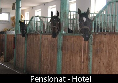 Pensjonat - Hotel