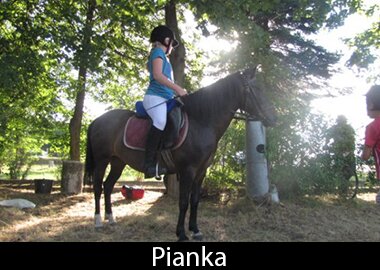 Pianka