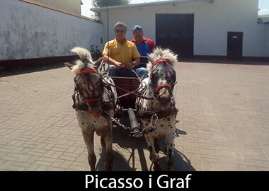 Picasso i Graf