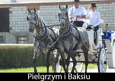 Pielgrzym i Baksiu