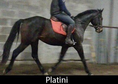 Platini