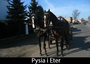 Pysia i Eter