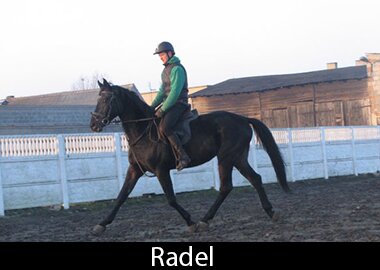 Radel