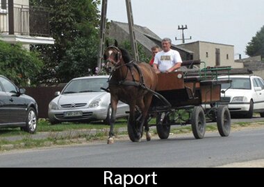 Raport