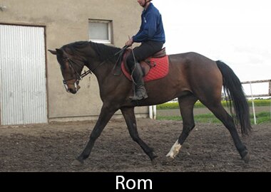 Rom
