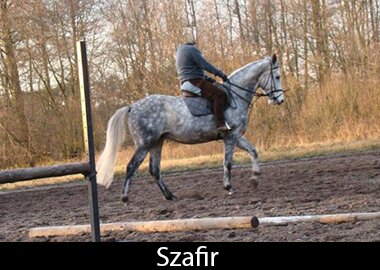 Szafir