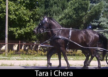 Tara i Chera