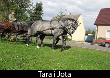 Tara i Jota