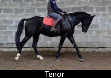 Tenor