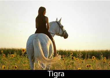 Tigra