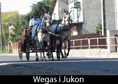 Wegas i Jukon