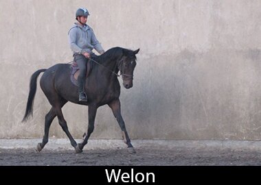 Welon