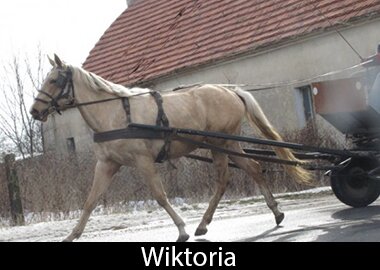 Wiktoria