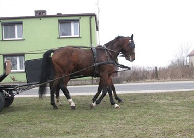 astor