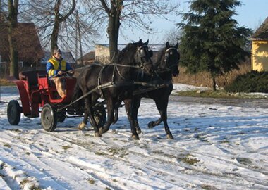 baribolek