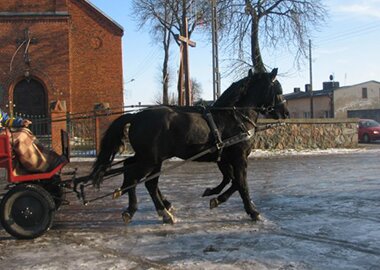 baribolek