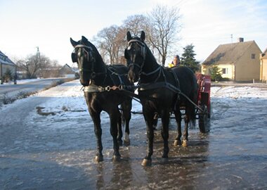 baribolek