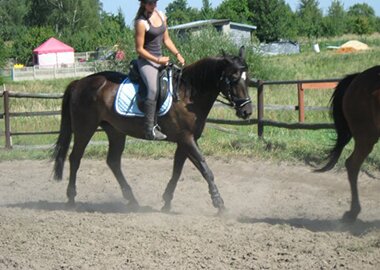 broszka