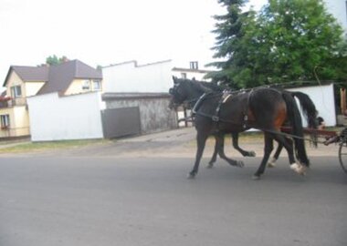 chempioniantares