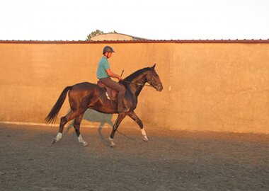 dzeronimo