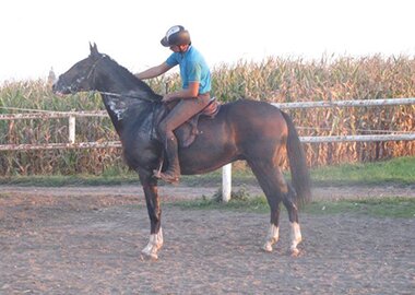 dzeronimo