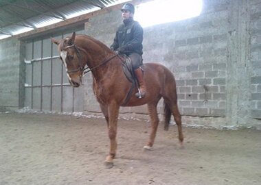 hors
