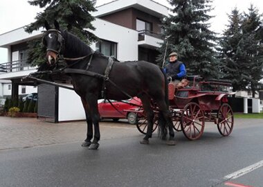 kaszmir