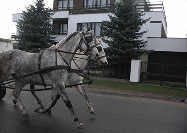 ladoga