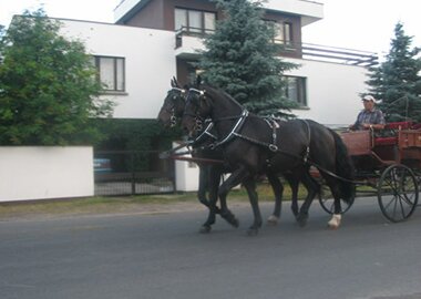 ladoga