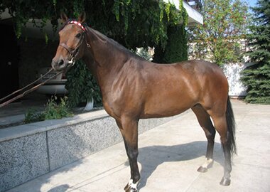 omer