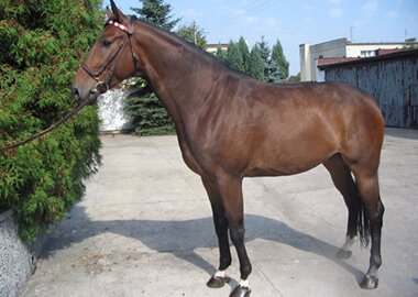 omer