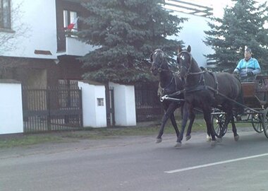 pacoitanczamir
