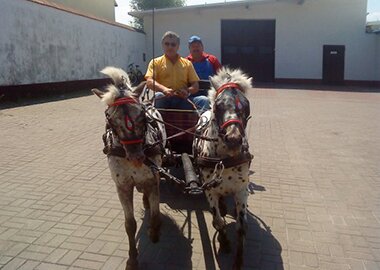 picassoigraf