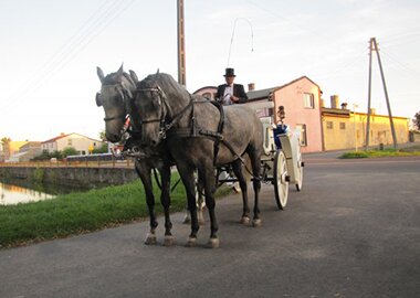 pielgrzymibaksiu