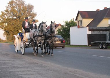 pielgrzymibaksiu