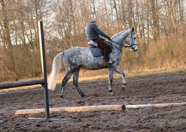 szafir