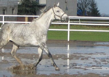 tamka