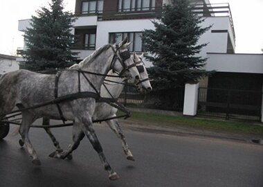 tamka