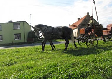 taraijota