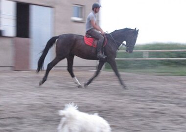 tranzyt