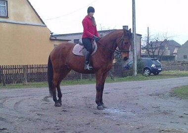 tymianek