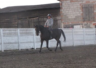 welon