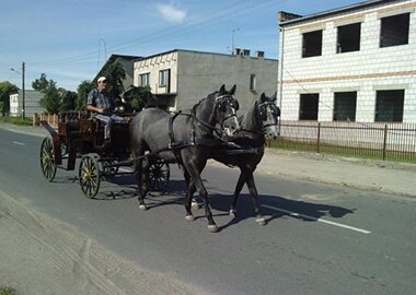wera